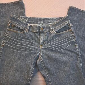 ANN TAYLOR  MODERNfit jeans 8P blue